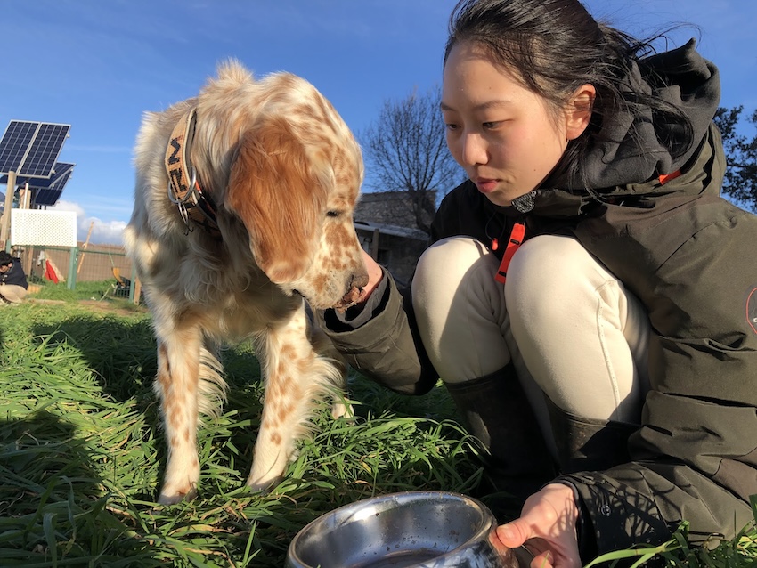 みどりと犬の写真。食べ物をあげている