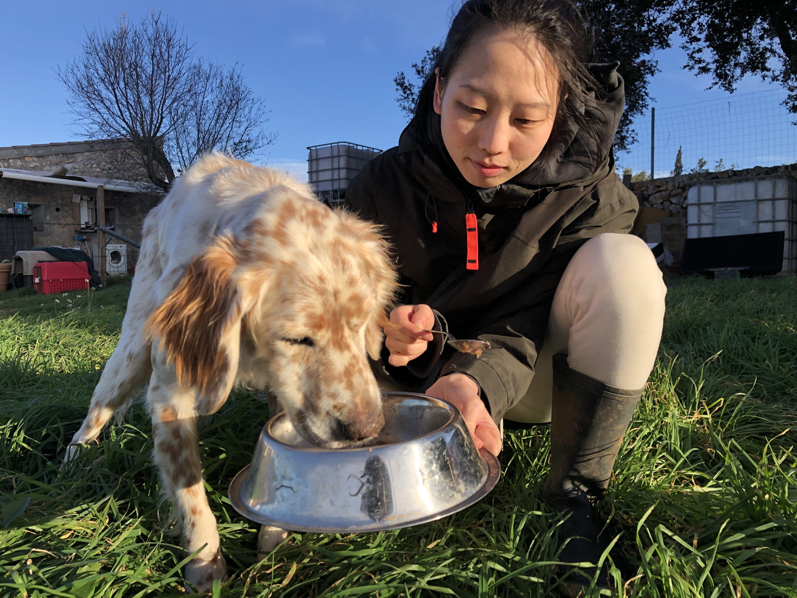 保護犬と目黒みどり
